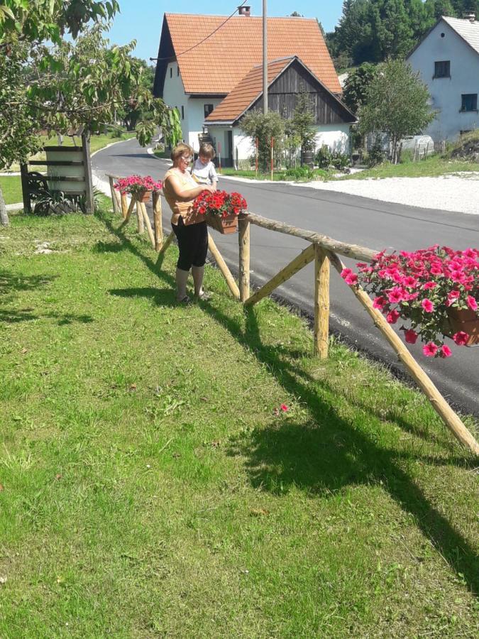Turisticna Kmetija Pr Mark Trebce Zewnętrze zdjęcie